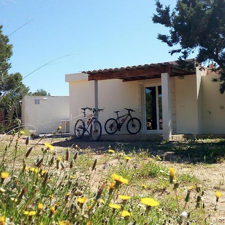 La Casita Yolanda, Ideal Parejas - Formentera Natural San Ferrán de ses Roques Eksteriør billede